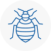 Bed Bug Extermination In Featherstone