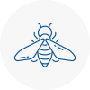 Bee Nest Removal Featherstone