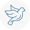 Bird Prevention Featherstone