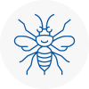 Featherstone Hornet Nest Removals