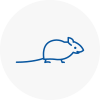 Mice Exterminators In Featherstone