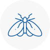 Moth Control Specialists In Featherstone