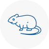 Rat Control Featherstone