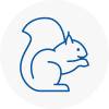 Featherstone Rodent Removals