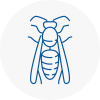 Featherstone Wasp Nest Removal